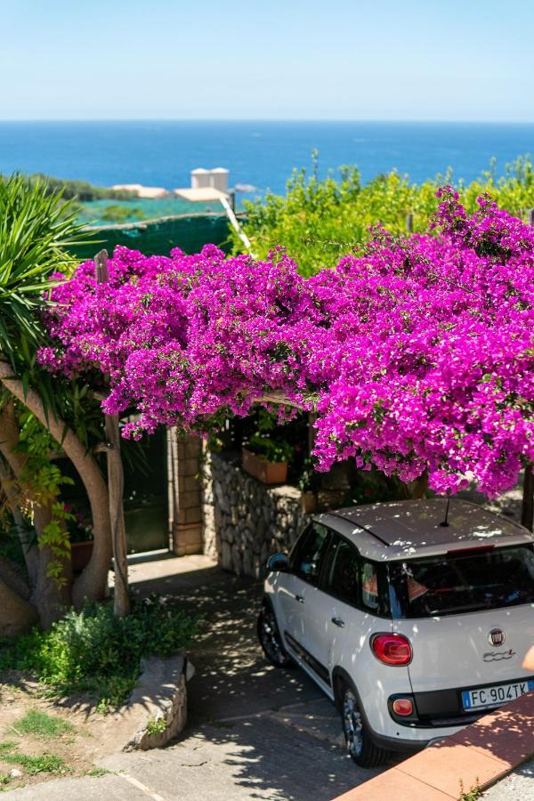Villa Lorelei Massa Lubrense Bagian luar foto