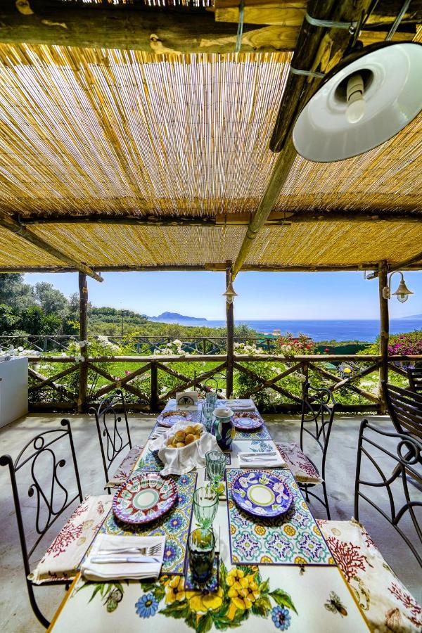 Villa Lorelei Massa Lubrense Bagian luar foto
